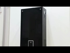 10L 2.6GPM Calentador de agua Panel de revestimiento negro GNL Tipo de gas