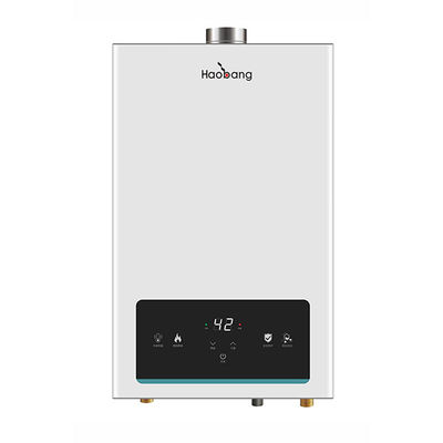 21KW 110V-220V Constant Temperature Gas Water Heater White 10L