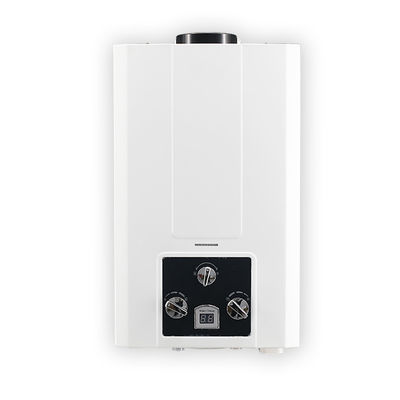 10L Instant Gas Geyser Water Heater 2.64GPM LPG NG Gas Type