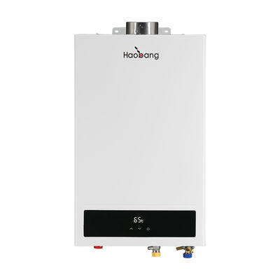 Balanced Flue Gas Water Heater Gas Water Heater for Energy Conservation and Pollution Reduction