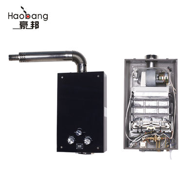 10L Natural Gas Water Heater Wall Mounted Instant Shower