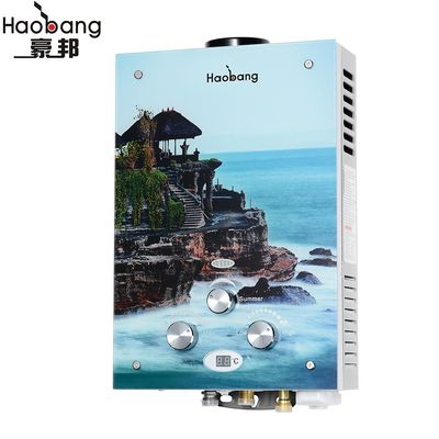 6L LPG Instant Gas Water Heater Glass Panel Wall Mounted