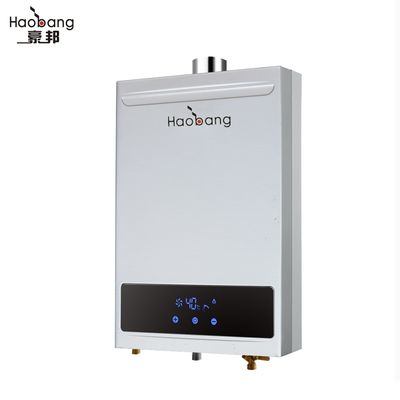 10L Forced Exhaust Gas Water Heater Wall Mounted Stainless Steel
