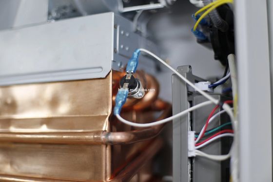 10L Forced Exhaust Gas Water Heater Wall Mounted Stainless Steel