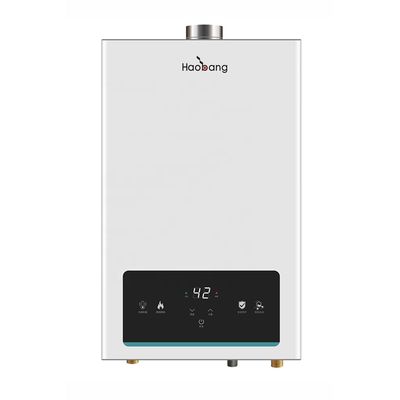 Wall-mounted Flue Gas Water Heater with Touch Panel Control for Hotel and Garage Use