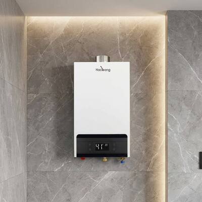 Rated Voltage AC220V Forced Exhaust Gas Water Heater Featuring Temperature Range 35 to 80 Degree Nominal Heat Input 21KW Suitable for Commercial