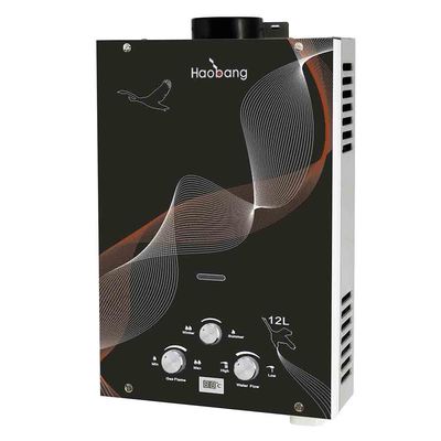 Calentador de agua de gas natural licuado Panel de vidrio negro 6L Calentador de agua instantáneo