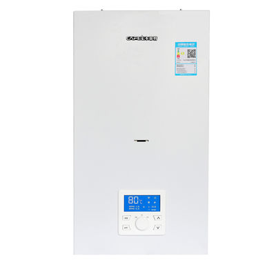Salón cocina caldera de gas calefacción de agua caliente 24Kw