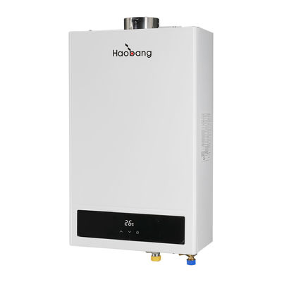 G1/2 Calentador de agua de combustión equilibrado con pantalla LCD y características de ahorro de energía