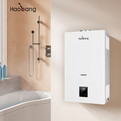 Calentador de agua de gas licuado de ahorro energético con temperatura constante Color de panel blanco