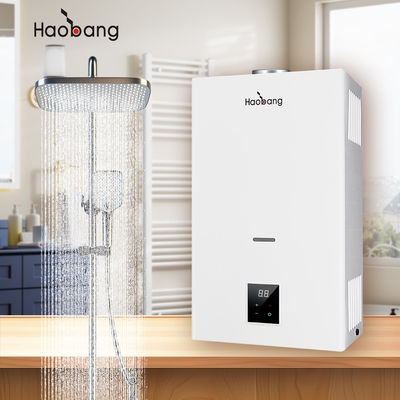 Calentador de agua de gas de humo montado en la pared con escape de humo y protección opcional