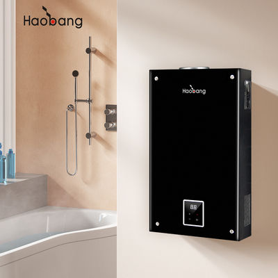 Calentador de agua de gas licuado personalizable con pared de escape de humos montada