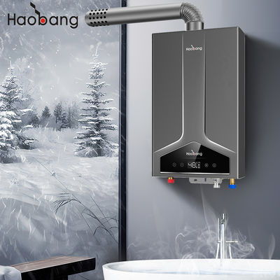 Calentador de agua de combustión de 110V-220V de tensión eléctrica con tipo inteligente y intercambiador de calor de cobre sin oxígeno