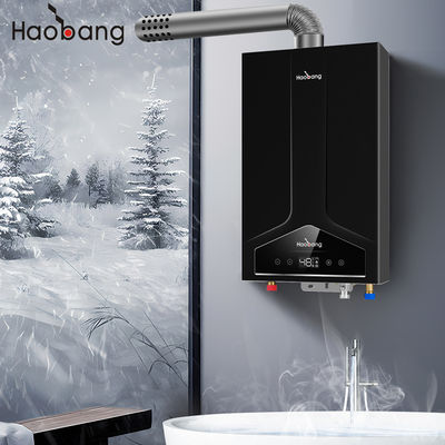 Calentador de agua de combustión de entrada inferior y entrada superior equilibrado con panel de acero inoxidable, magnetismo y entrega puerta a puerta
