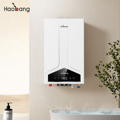 Calentador de agua de gas con calentador de agua de humos equilibrado 110V-220V Voltado eléctrico No hay color opcional